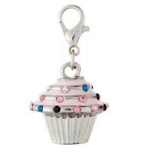 Multicolor Cupcake & Silver Charm